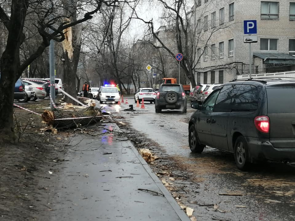 Ураган в Москве повалил на машины деревья и рекламы