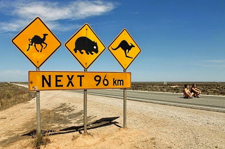 дорожные знаки в австралии