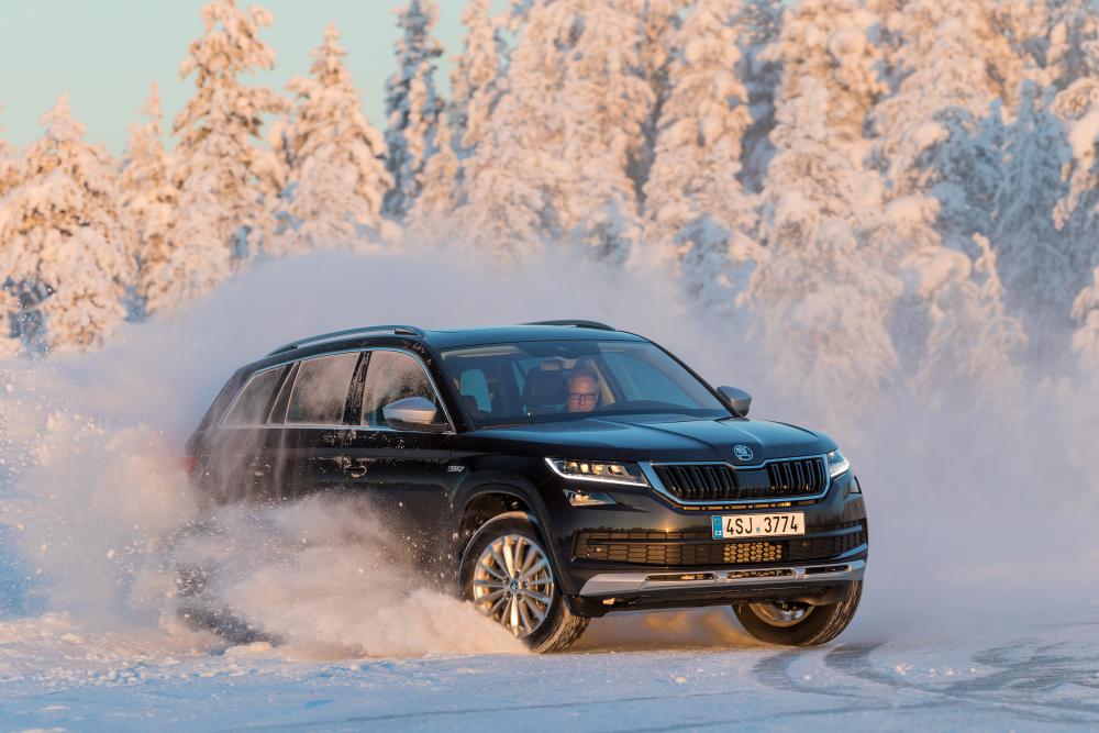 Skoda Kodiaq 1 поколение (2017) Кроссовер